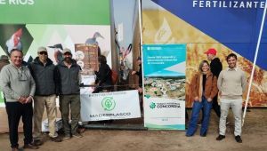 La unión hace la fuerza