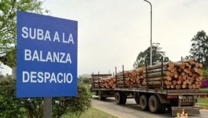 BALANZA DE PESAJE PARA CAMIONES CERTIFICADA, EN EL PARQUE INDUSTRIAL CONCORDIA*