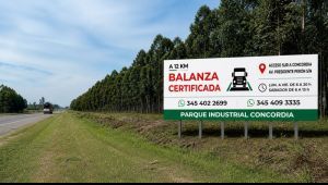  ¿Buscás una balanza confiable para el pesaje de camiones?