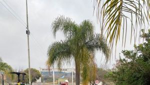 Trabajos de mantenimiento en la red de agua del Parque Industrial Concordia